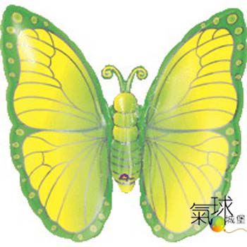 025.283-萊姆綠色蝴蝶63公分寬63公分高/充氣300元