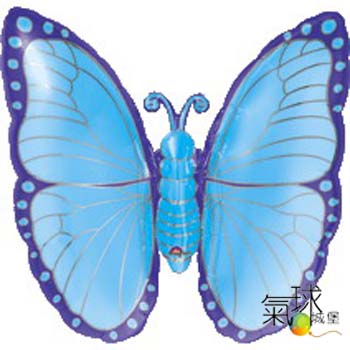 025.284-天空藍蝴蝶63公分寬63公分高/充氣300元