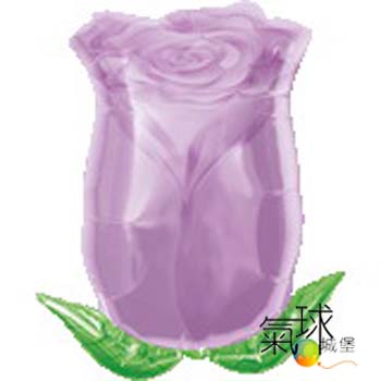 08-紫色玫瑰花芽45公分/充氣170元