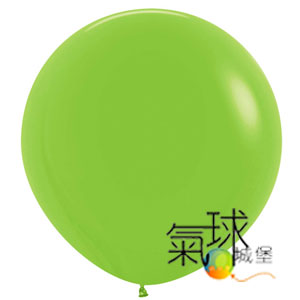 24.031-24吋/60公分圓球萊姆綠色 Lime Green  每個