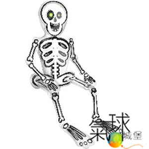 048.350-坐姿骷髏人(45公分*66公分)Sitting Skeleton/含充氦氣500元