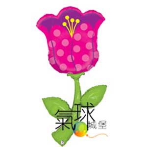 015.349-60"新鮮的精選-鬱金香150公分高Fresh Picks™ Tulip(花朵，春天及適合母親節使用)/含充氦氣580元