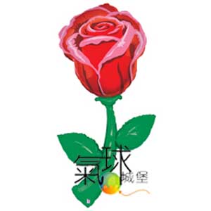 015.350-60"新鮮的精選-單紅玫瑰150公分高Fresh Picks™Single Red Rose(花朵，春天及適合母親節使用)/含充氦氣580元