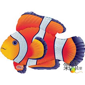 024.341-紅色小丑魚79cm寬53cm高/充氣380元
