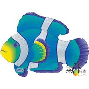 024.342-藍色小丑魚79cm寬53cm高/含充氣空飄380元